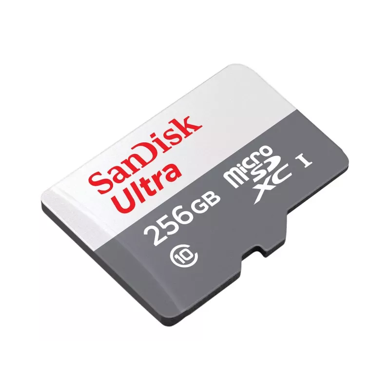 Memoria flash SanDisk 256 GB MicroSDXC UHS-I SDSQUNR-256G-GN6TA
