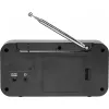 Inter Sales DENVER DAB-42 - radio DAB portatile - 1 Watt