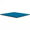 Thermal Grizzly Minus Pad Advance - 100 x 100 x 1,0 mm, 2 pezzi