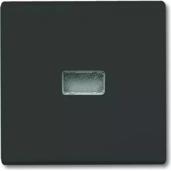 BUSCH JAEGER 2107-35 - Nero - Busch-Jaeger - 70 mm - 70 mm - 1,3 cm - 1 pz.
