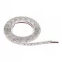 Synergy 21 Striscia LED Flex 3528 - 120 DW (CCT) DC24V 48W per colore one chip IP20