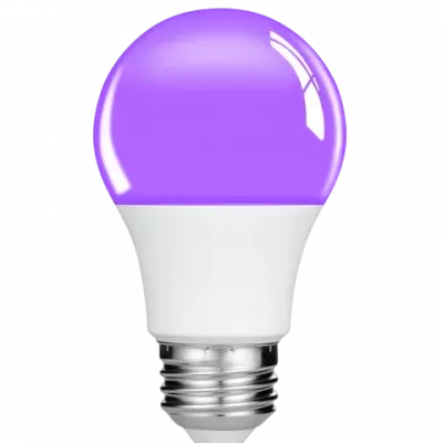 Lampade UV