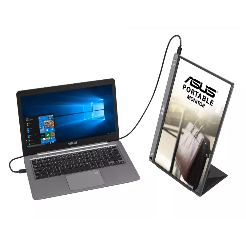 Monitor per computer ASUS ZenScreen MB16ACE 39,6 cm (15,6