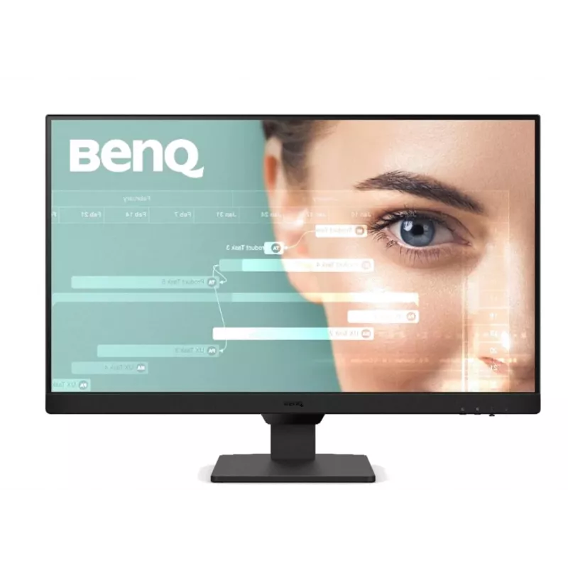 Monitor per computer BenQ GW2490 60,5 cm (23,8