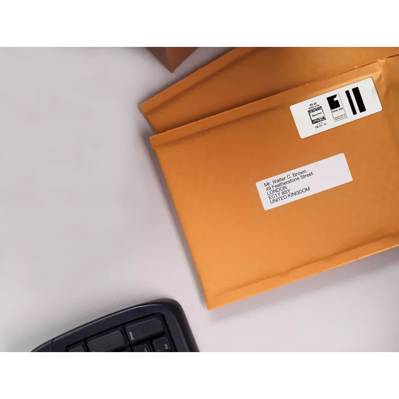 DYMO Authentic LabelWriter Etichette grandi per indirizzi | 36 mm x 89 mm | autoadesive | 2 rotoli da 260 (520 etichette Easy-Peel) | per etichettatrici LabelWriter | prodotte in Europa