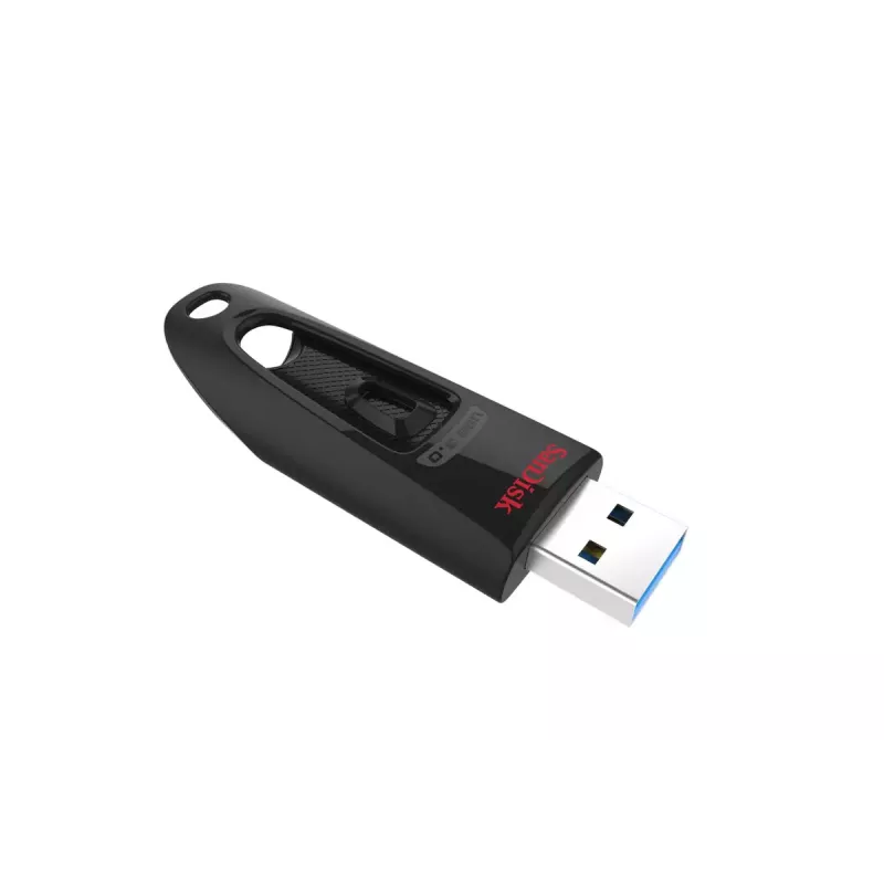 Chiavetta USB SanDisk 256 GB USB Type-A 3.2 Gen 1 SDCZ48-256G-U46