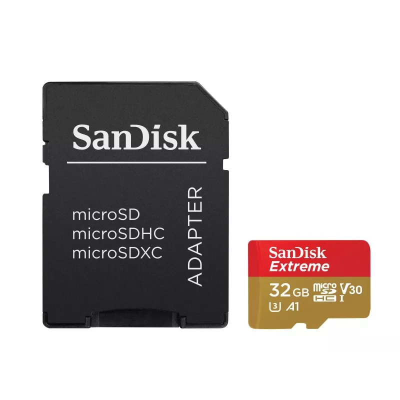 Scheda di memoria SanDisk 32 GB MicroSDHC UHS-I Class 10 SDSQXAF-032G-GN6MA