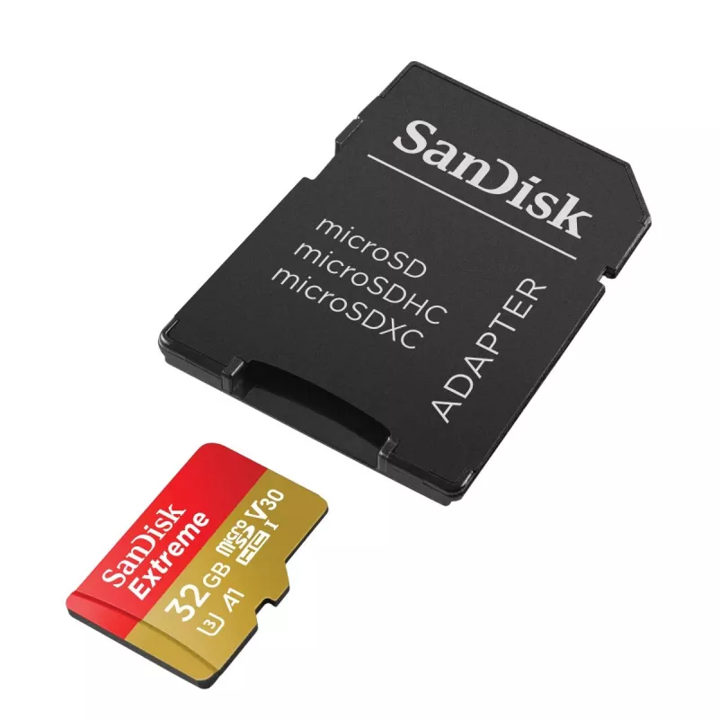 Scheda di memoria SanDisk 32 GB MicroSDHC UHS-I Class 10 SDSQXAF-032G-GN6MA