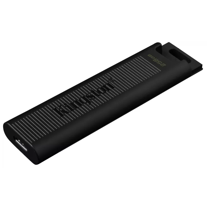 Kingston Technology DataTraveler 256GB Max 1000R/900W USB 3.2 Gen 2