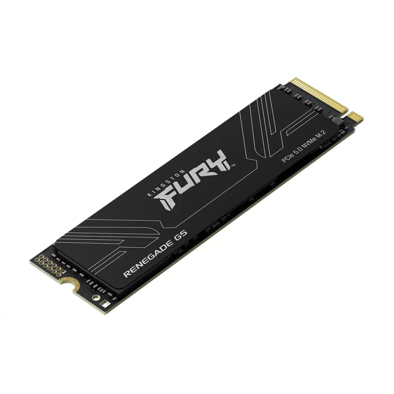 SSD Kingston Technology 1 TB M.2 NVMe FURY RENEGADE G5