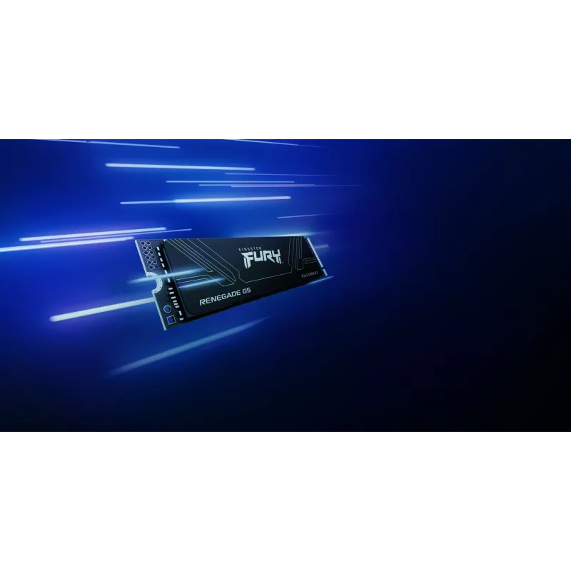 SSD Kingston Technology 1 TB M.2 NVMe FURY RENEGADE G5