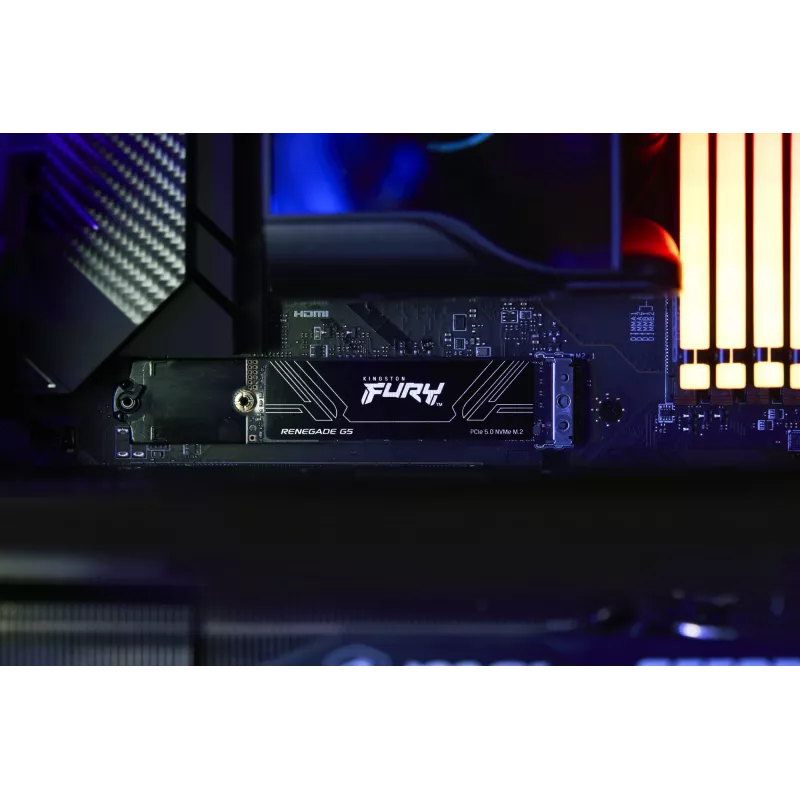 SSD Kingston Technology 1 TB M.2 NVMe FURY RENEGADE G5
