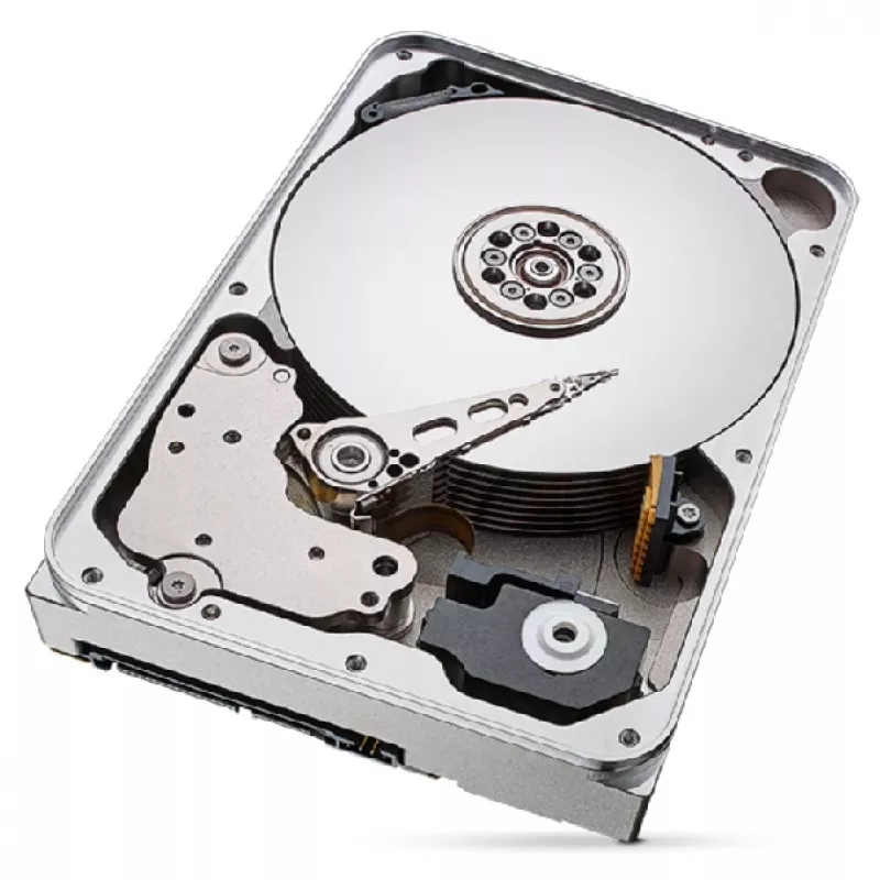 Disco fisso interno Seagate IronWolf Pro ST12000NT001 12 TB 7200 RPM 256 MB 3,5 pollici Serial ATA III