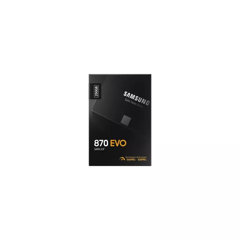 SSD Samsung 870 EVO 250 GB 2,5 pollici Serial ATA III V-NAND