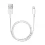 Cavo APPLE Lightning-USB (0,5 m)