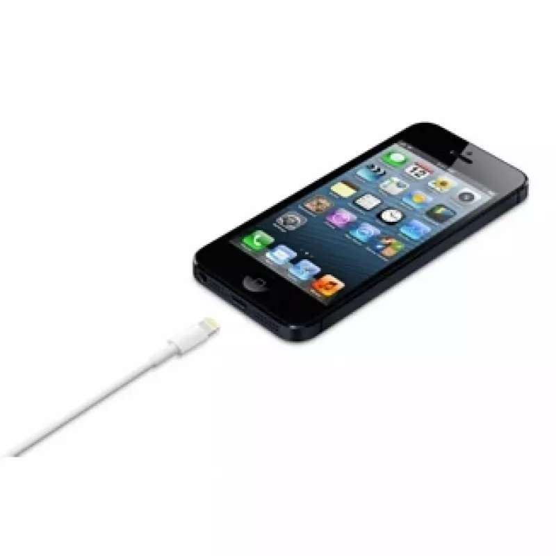 Cavo APPLE Lightning-USB (0,5 m)