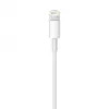 Cavo APPLE Lightning-USB (0,5 m)
