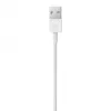 Cavo APPLE Lightning-USB (0,5 m)