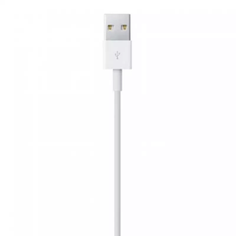 Cavo APPLE Lightning-USB (0,5 m)