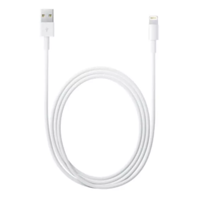 Cavo Apple Lightning su USB 2 m MD819ZM/A