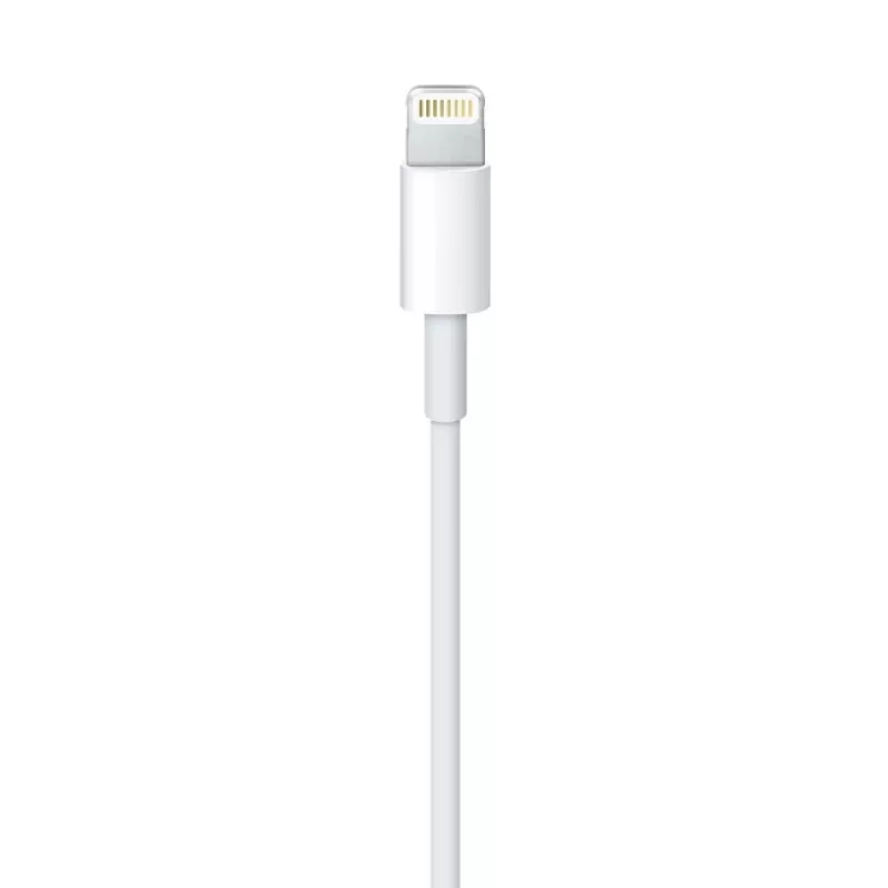 Cavo Apple Lightning su USB 2 m MD819ZM/A