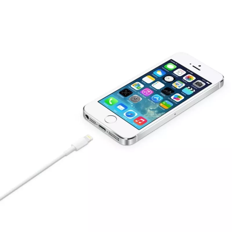 Cavo Apple Lightning su USB 2 m MD819ZM/A