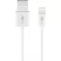 Cavo di ricarica e sincronizzazione GOOBAY Lightning a USB A 1 m, 5W / 1A, bianco