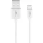 Goobay Cavo di ricarica e sincronizzazione Lightning USB 2 m Lightning USB A