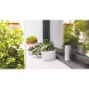 Netatmo NWS01-EC stazione meteo digitale alluminio batteria/USB Wi-Fi