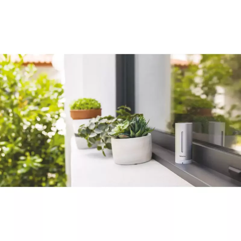 Netatmo NWS01-EC stazione meteo digitale alluminio batteria/USB Wi-Fi
