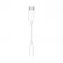 Adattatore da USB-C a jack cuffie 3,5 mm Apple