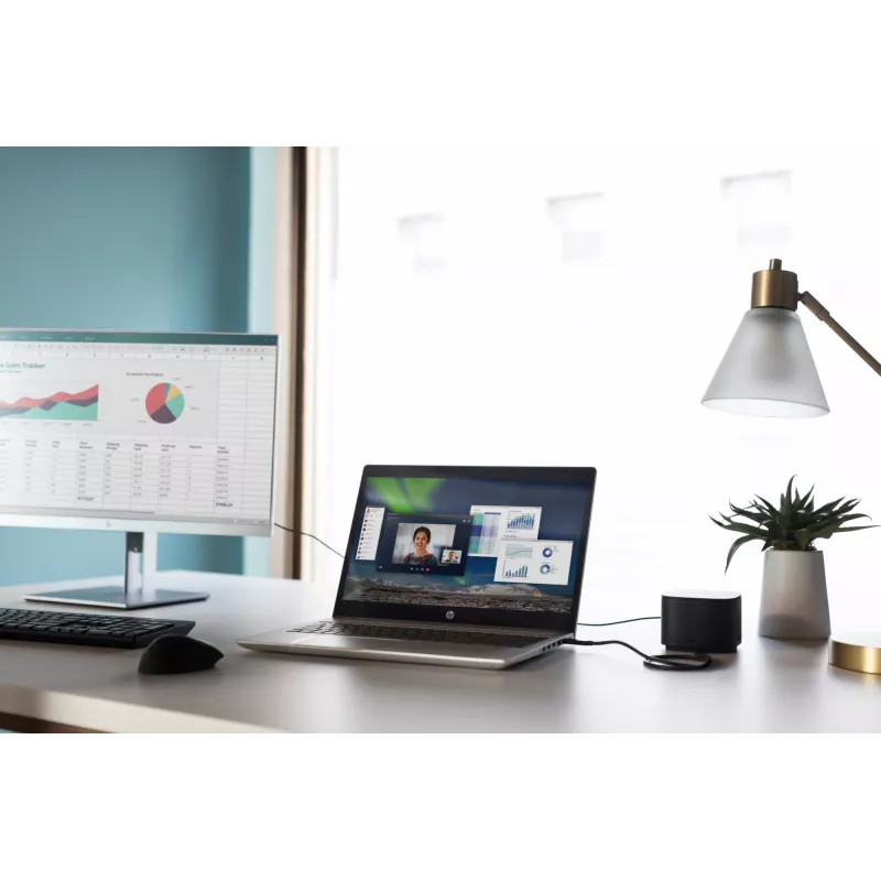 HP Mouse con lettore di impronte USB, ambidestro, USB Type-A, nero