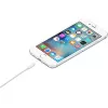 APPLE cavo USB-A a Lightning 1 m (mxly2zm/a)
