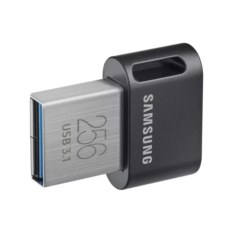 Samsung MUF-256AB chiavetta USB 256 GB USB Type-A 3.2 Gen 1 (3.1 Gen 1) grigio, argento
