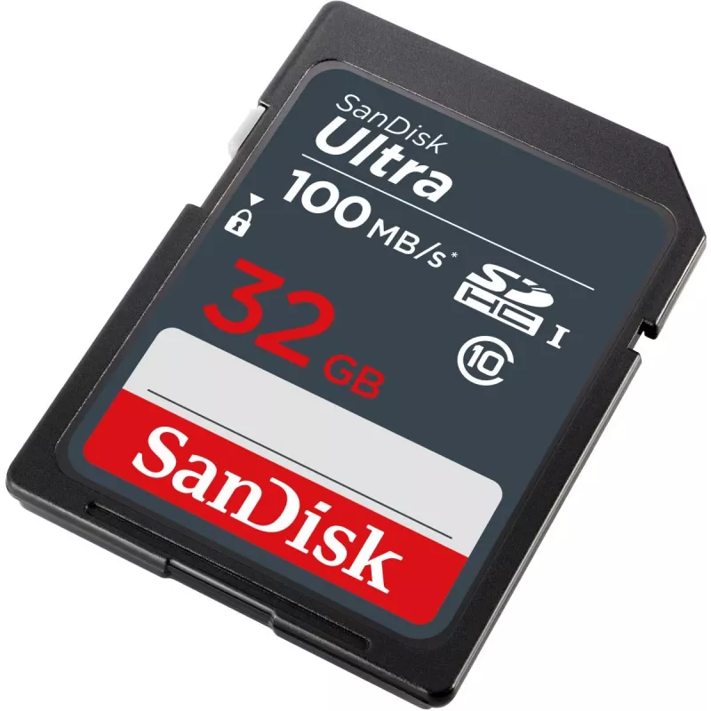 Scheda di memoria WESTERN DIGITAL SanDisk Ultra 32GB SDHC 100 MB/s (SDSDUNR-032G-GN3IN)