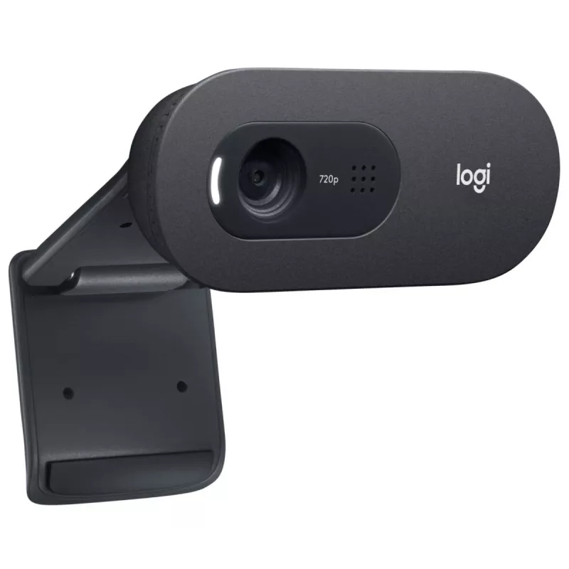 Webcam LOGITECH C505 Hd nero