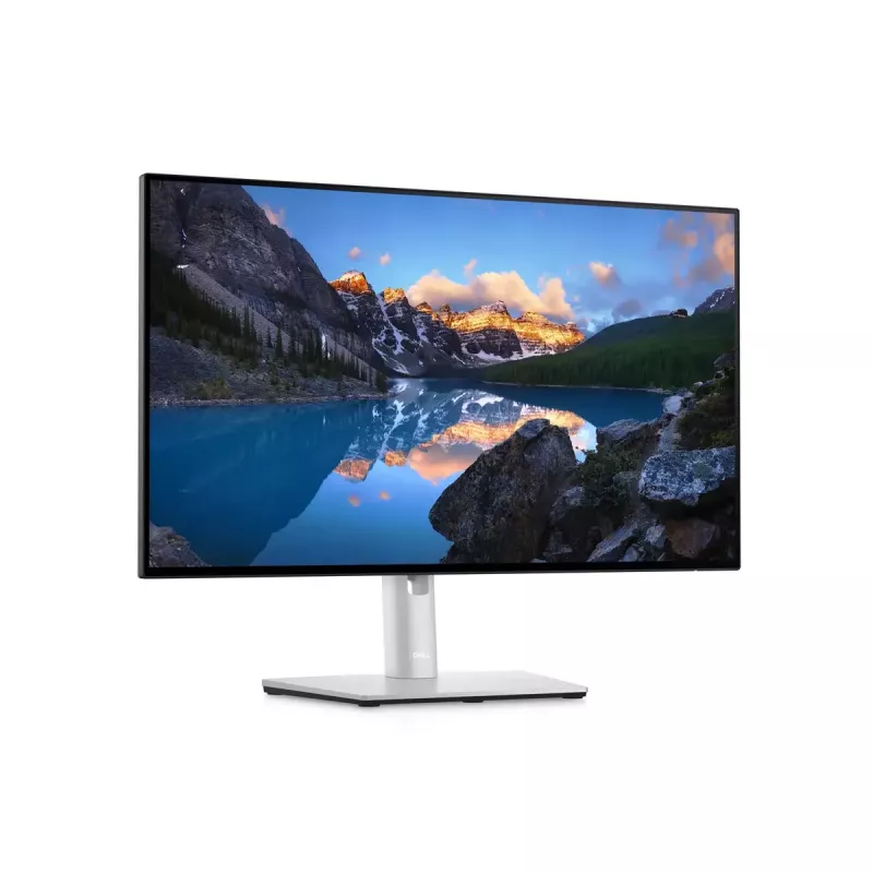 Monitor DELL UltraSharp 24 U2422H 23,8 pollici Full HD LCD 1920x1080
