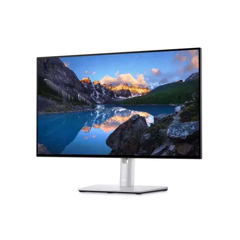 Monitor DELL UltraSharp 24 U2422H 23,8 pollici Full HD LCD 1920x1080