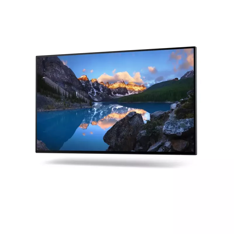 Monitor DELL UltraSharp 24 U2422H 23,8 pollici Full HD LCD 1920x1080