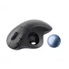 Mouse Logitech ERGO M575 per aziende RF Wireless + Bluetooth
