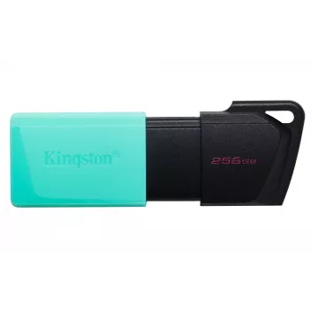 Kingston Technology DataTraveler 256GB USB3.2 Gen1 Exodia M (nero + turchese)