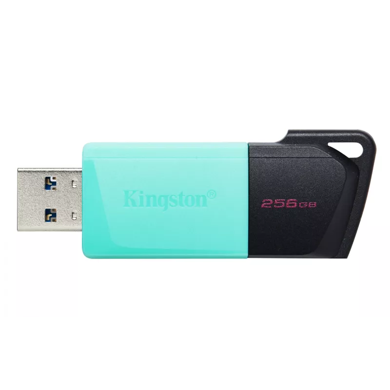 Kingston Technology DataTraveler 256GB USB3.2 Gen1 Exodia M (nero + turchese)