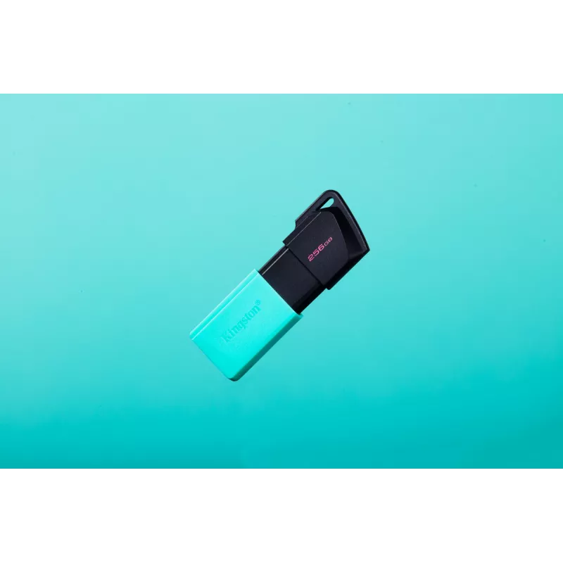 Kingston Technology DataTraveler 256GB USB3.2 Gen1 Exodia M (nero + turchese)