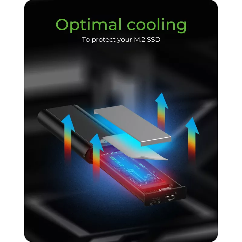 ICY Karton IB-1807MT-C31 case SSD nero M.2