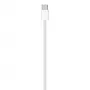 Cavo di ricarica USB-C APPLE (1 m)