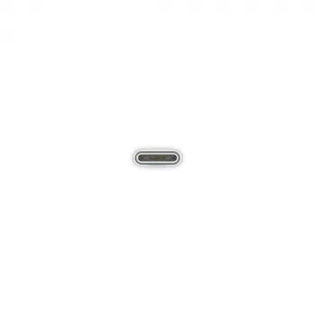 Cavo di ricarica USB-C APPLE (1 m)