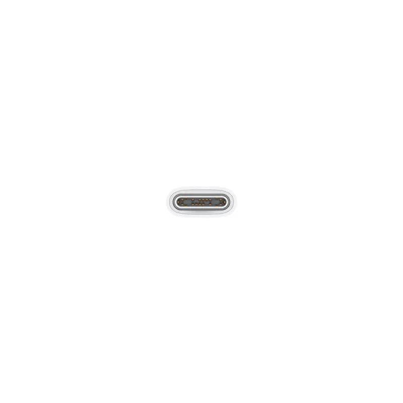 Cavo di ricarica USB-C APPLE (1 m)