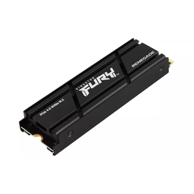 Kingston Technology 1000G RENEGADE PCIe 4.0 NVMe SSD con dissipatore