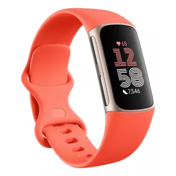 FITBIT Fitbit Charge 6 Obsidian / Black alluminio