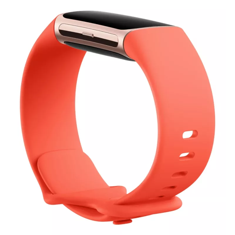 Fitbit Charge 6 Obsidian / Black alluminio